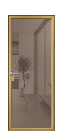 Дверь межкомнатная Frame 01 Цвет Латунь Покрытие Алюминий  Наличник Скрытый короб Цена 73420