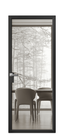 Дверь межкомнатная Frame 01 Цвет Черный Покрытие Алюминий  Наличник Скрытый короб Цена 63750