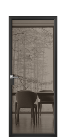 Дверь межкомнатная Frame 01 Цвет Черный Покрытие Алюминий  Наличник Скрытый короб Цена 65460