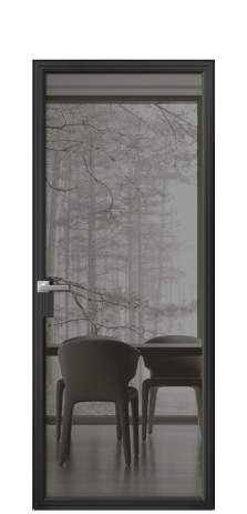 Дверь межкомнатная Frame 01 Цвет Черный Покрытие Алюминий  Наличник Скрытый короб Цена 65460